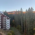 Sunny Mountain View Kometa Daire *