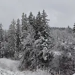 Daire Sunny Mountain View Kometa Pamporovo