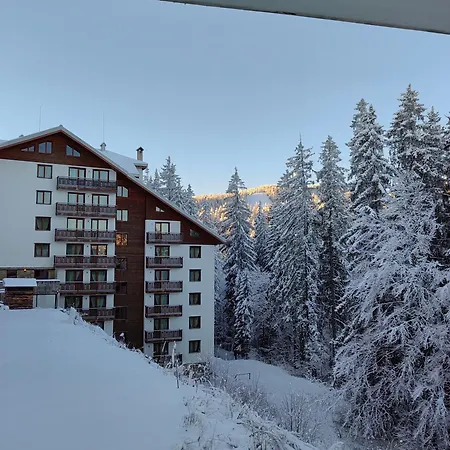 Sunny Mountain View Kometa * Pamporovo