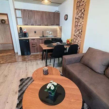 Sunny Mountain View Kometa Appartement Pamporovo