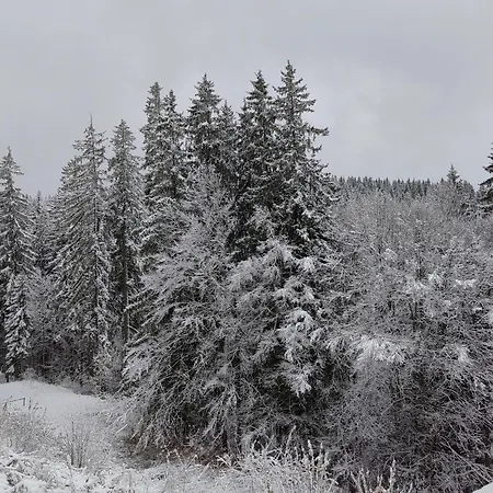 Apartament Sunny Mountain View Kometa Pamporovo