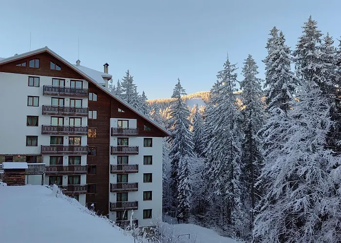 Sunny Mountain View Kometa * 팜포로보