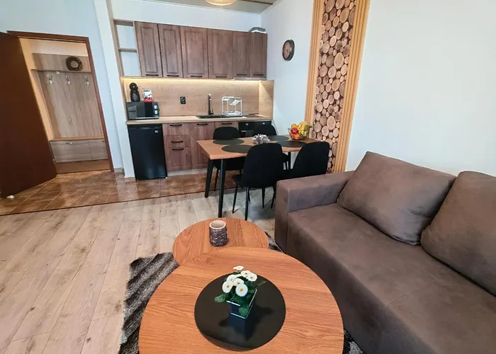 Sunny Mountain View Kometa 아파트 팜포로보