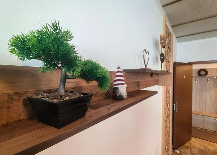 Sunny Mountain View Kometa * 팜포로보