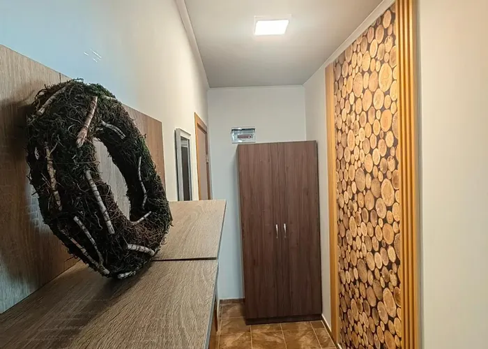 Sunny Mountain View Kometa 팜포로보