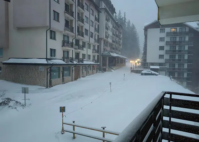 Sunny Mountain View Kometa