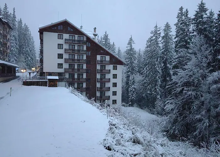 Sunny Mountain View Kometa