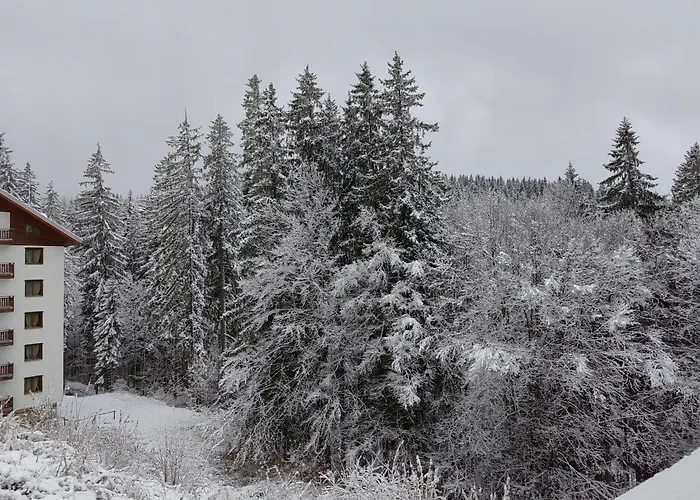 Appartement Sunny Mountain View Kometa Pamporovo